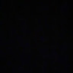 Meet your Posher, Lilly